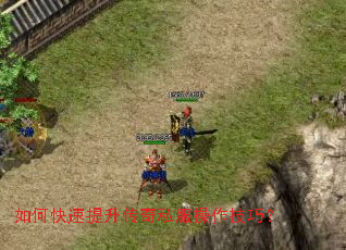 ��ο�����������˽���������ɣ�