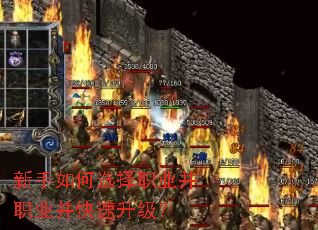 �������ѡ��ְҵ��ְҵ������������