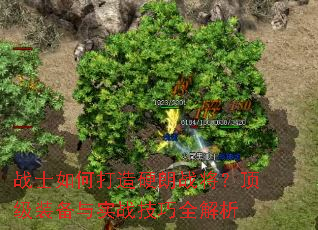 սʿ��δ���Ӳ��ս��������װ����ʵս����ȫ����