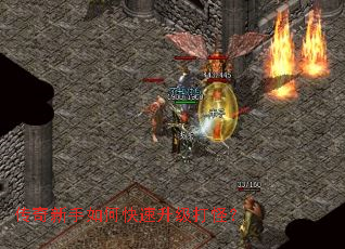 ����������ο���������֣�