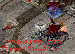 ��ο��������ȼ������ֵܲ�����������ؾ���ʲô��