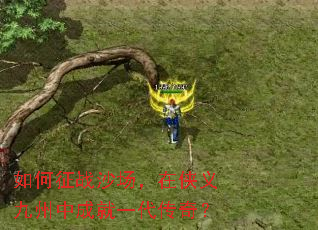 �����սɳ��������������гɾ�һ�����棿