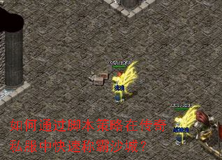 ���ͨ���ű������ڴ���˽���п��ٳư�ɳ�ǣ�