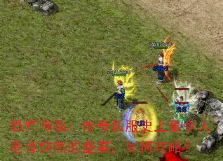 �ֲ����٣�����˽��ʷ��������ë���Ȼ��ʢ�磬��ι��ԣ�