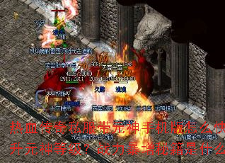 ��Ѫ����˽����Ԫ���ֻ�����ô��������Ԫ��ȼ���ս�������ؼ���ʲô��