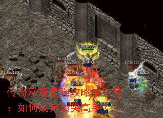 ����˽����ǿ���Լ���ţ���γ�Ϊ������֣�