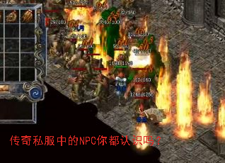 ����˽���е�NPC�㶼��ʶ��