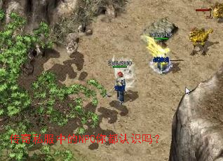 ����˽���е�NPC�㶼��ʶ��