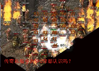 ����˽���е�NPC�㶼��ʶ��