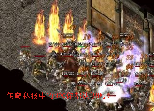 ����˽���е�NPC�㶼��ʶ��