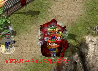 ����˽���е�NPC�㶼��ʶ��