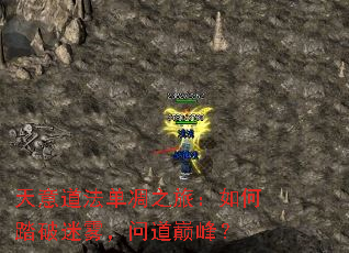 �����������֮�ã����̤���������ʵ��۷壿