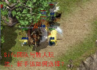Sifu�Ŷ���ɢ���淨�����ָ����ѡ��