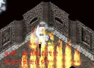 ������������Ŵ���ȼ��ɳ���������