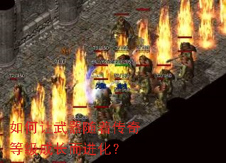������������Ŵ���ȼ��ɳ���������