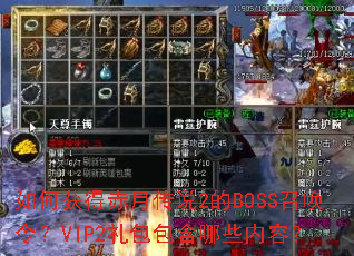 ��λ�ó��´�˵2��BOSS�ٻ��VIP2���������Щ���ݣ�