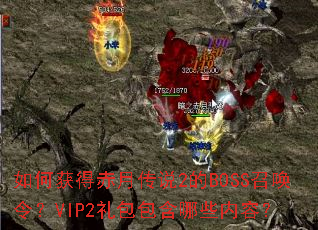 ��λ�ó��´�˵2��BOSS�ٻ��VIP2���������Щ���ݣ�