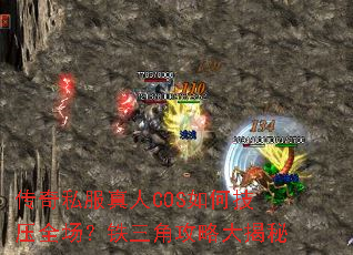 ����˽������COS��μ�ѹȫ���������ǹ��Դ����