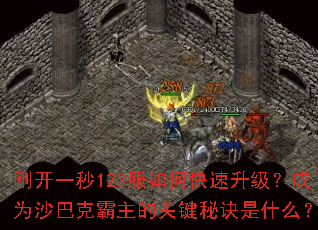 刚开一秒123服如何快速升级?成为沙巴克霸主的关键秘诀是什么? 刚开一秒123服如何快速升级?成为沙巴克霸主的关键秘诀是什么?