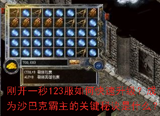 刚开一秒123服如何快速升级?成为沙巴克霸主的关键秘诀是什么? 刚开一秒123服如何快速升级?成为沙巴克霸主的关键秘诀是什么?