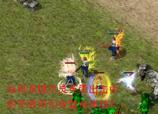 如何掌握月灵英勇出击中的无敌双剑合璧合体技? 如何掌握月灵英勇出击中的无敌双剑合璧合体技?