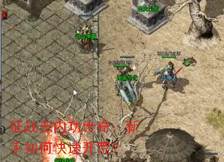 征战无内功传奇:新手如何快速开荒? 征战无内功传奇:新手如何快速开荒?
