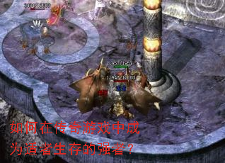 如何在传奇游戏中成为适者生存的强者? 如何在传奇游戏中成为适者生存的强者?