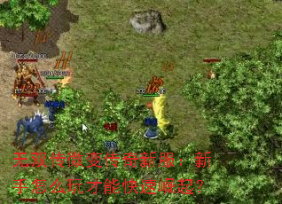 无双传微变传奇新服:新手怎么玩才能快速崛起? 无双传微变传奇新服:新手怎么玩才能快速崛起?