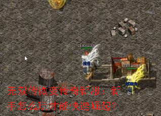 无双传微变传奇新服:新手怎么玩才能快速崛起? 无双传微变传奇新服:新手怎么玩才能快速崛起?
