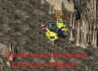 ��Ӣ�۴���˽����ְҵ�ֻ��棬�������ܳ�Ϊ��ǿ��ң�