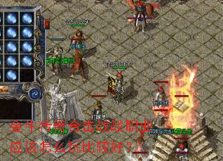 ��ţ����ϻ�սսְҵӦ����ô��ȽϺã�