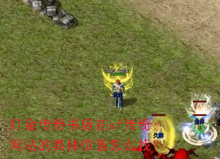 打金传奇书店在sf传奇网站的具体位置怎么找? 打金传奇书店在sf传奇网站的具体位置怎么找?