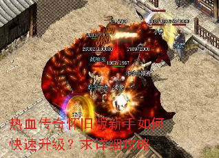 ��Ѫ���滳�ɰ�������ο�������������ϸ����