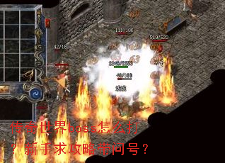 传奇世界boss怎么打?新手求攻略带问号? 传奇世界boss怎么打?新手求攻略带问号?
