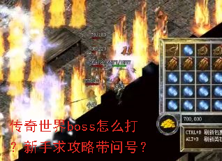 传奇世界boss怎么打?新手求攻略带问号? 传奇世界boss怎么打?新手求攻略带问号?