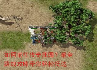 如何前往传奇庄园?最全路线攻略带你轻松抵达 如何前往传奇庄园?最全路线攻略带你轻松抵达