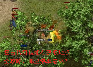 复古传奇技能石获取地点全攻略,哪里爆率最高? 复古传奇技能石获取地点全攻略,哪里爆率最高?