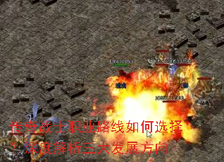 ����սʿְҵ·�����ѡ����Ƚ�������չ����