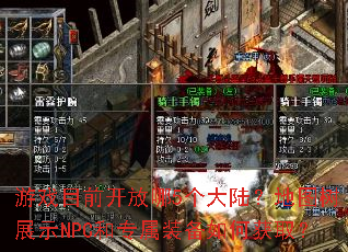 ��ϷĿǰ������5����½����ͼ��չʾNPC��ר��װ����λ�ȡ��