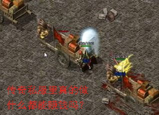 传奇私服里真的做什么都能赚钱吗? 传奇私服里真的做什么都能赚钱吗?