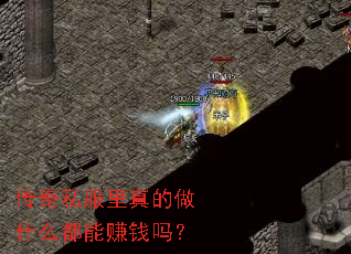 传奇私服里真的做什么都能赚钱吗? 传奇私服里真的做什么都能赚钱吗?