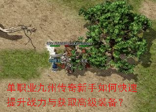 单职业九州传奇新手如何快速提升战力与获取高级装备? 单职业九州传奇新手如何快速提升战力与获取高级装备?