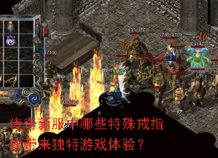 传奇新服中哪些特殊戒指能带来独特游戏体验? 传奇新服中哪些特殊戒指能带来独特游戏体验?