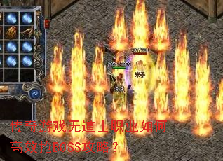 ������Ϸ�޵�ʿְҵ��θ�Ч��BOSS���ԣ�