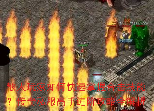 散人玩家如何快速掌握合击技能?传奇私服高手进阶攻略全解析 散人玩家如何快速掌握合击技能?传奇私服高手进阶攻略全解析