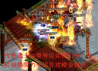 传奇道士神兽等级如何划分?各级神兽实力与培养攻略全解析 传奇道士神兽等级如何划分?各级神兽实力与培养攻略全解析