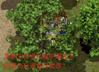 单职业传奇私服中屠龙为何成为玩家首选武器? 单职业传奇私服中屠龙为何成为玩家首选武器?