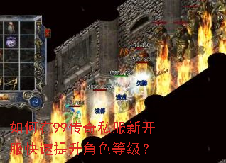 如何在99传奇私服新开服快速提升角色等级? 如何在99传奇私服新开服快速提升角色等级?