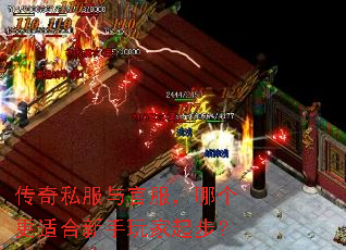 传奇私服与官服,哪个更适合新手玩家起步? 传奇私服与官服,哪个更适合新手玩家起步?