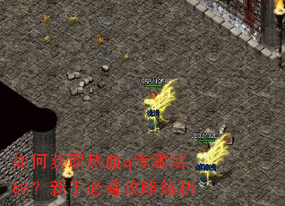 ��λ�ȡ��Ѫq�������룿���ֱؿ����Խ���